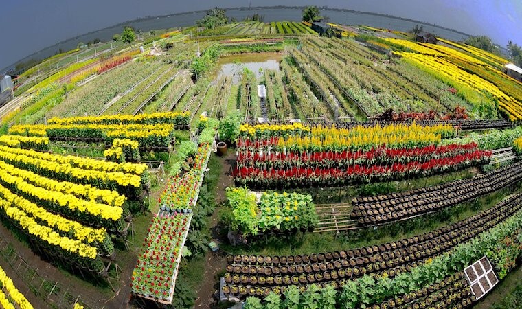 Top 10 địa điểm du lịch nổi tiếng của Đồng Tháp  