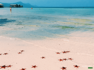 Top 10 bãi biển du lịch nổi tiếng của Việt Nam  