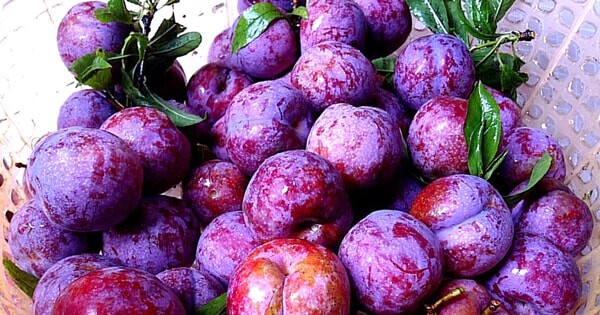 Mẹo vặt đời sống, mẹo vặt cuộc sống hay mỗi ngày  