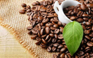 Top 10 món ăn nổi tiếng không nên bỏ qua khi du lịch Đắk Nông  