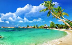 10 món đặc sản nổi tiếng của miền đất nắng gió Ninh Thuận  