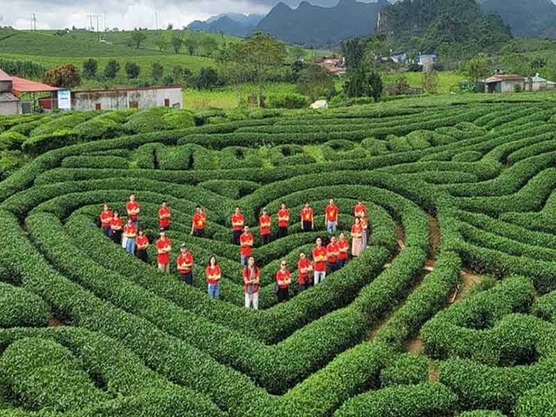 Các địa điểm du lịch nổi tiếng ở Mộc Châu đẹp nhất  