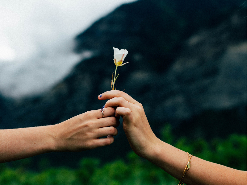 Mẹo vặt đời sống, mẹo vặt cuộc sống hay mỗi ngày  