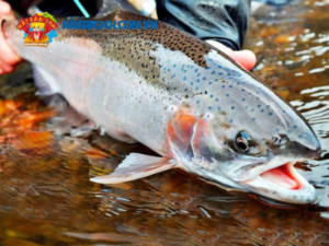 Những món ăn dân dã nổi tiếng ở Sapa ngon, độc đáo nhất  