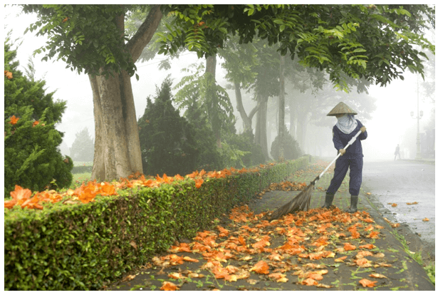 Top 10 bài văn mẫu tả cô lao công hay nhất  