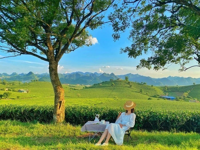 Top 10 địa điểm chụp ảnh cưới Mộc Châu đẹp lãng mạn nhất  