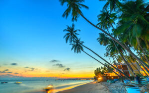 Top 15 quán ăn ngon ở Mũi Né – Phan Thiết cập nhật mới nhất  