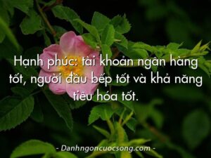 Những câu danh ngôn cuộc sống hay giúp bạn trưởng thành hơn  