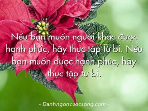 Những câu danh ngôn cuộc sống hay truyền cảm hứng mỗi ngày  
