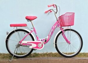 Top 10 bài văn mẫu tả chiếc xe đạp hay, chi tiết, dễ đạt điểm cao  