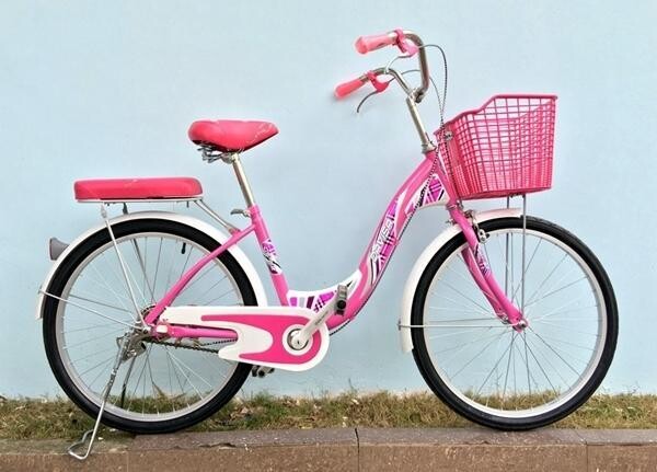 Top 10 bài văn mẫu tả chiếc xe đạp hay, chi tiết, dễ đạt điểm cao  